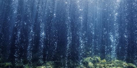 The Mafic 30 Vards: A Window into the Unreachable Ocean Reefs